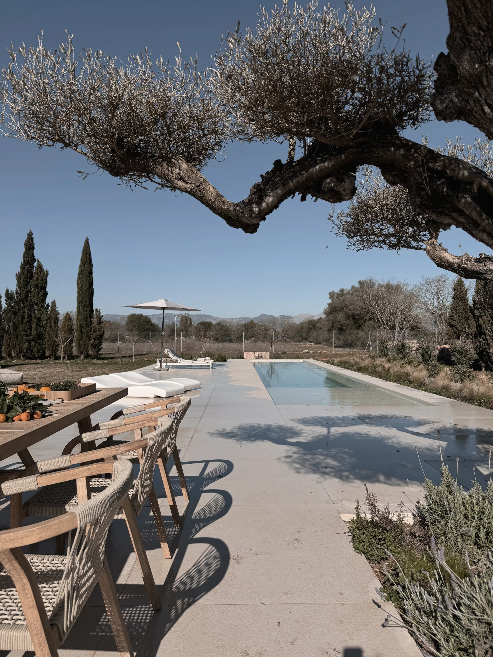 PAISAJISMO Y PISCINA EN SENCELLES. ESTUDIO AB2 ARQUITECTURA