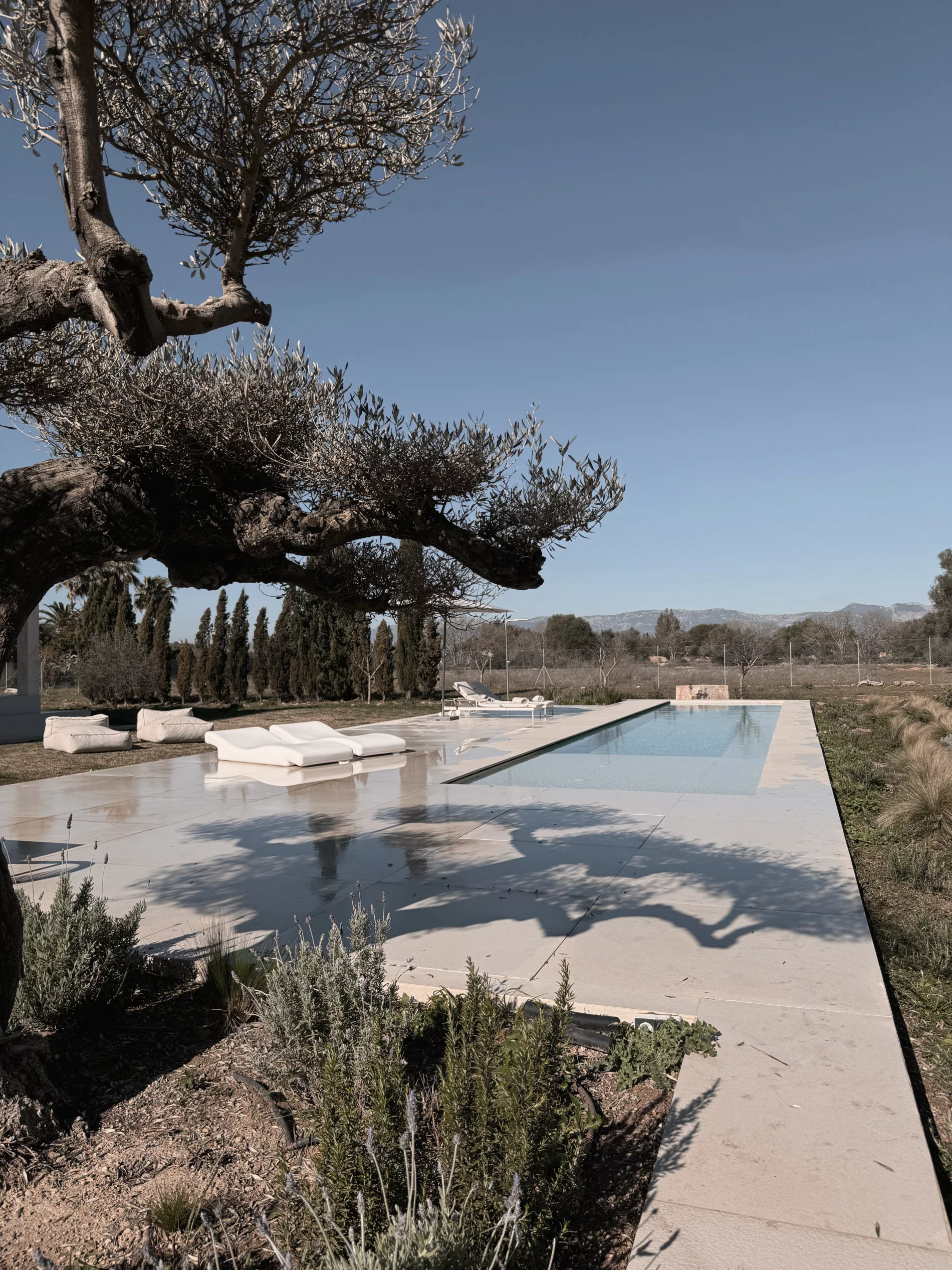 PAISAJISMO Y PISCINA EN SENCELLES. ESTUDIO AB2 ARQUITECTURA