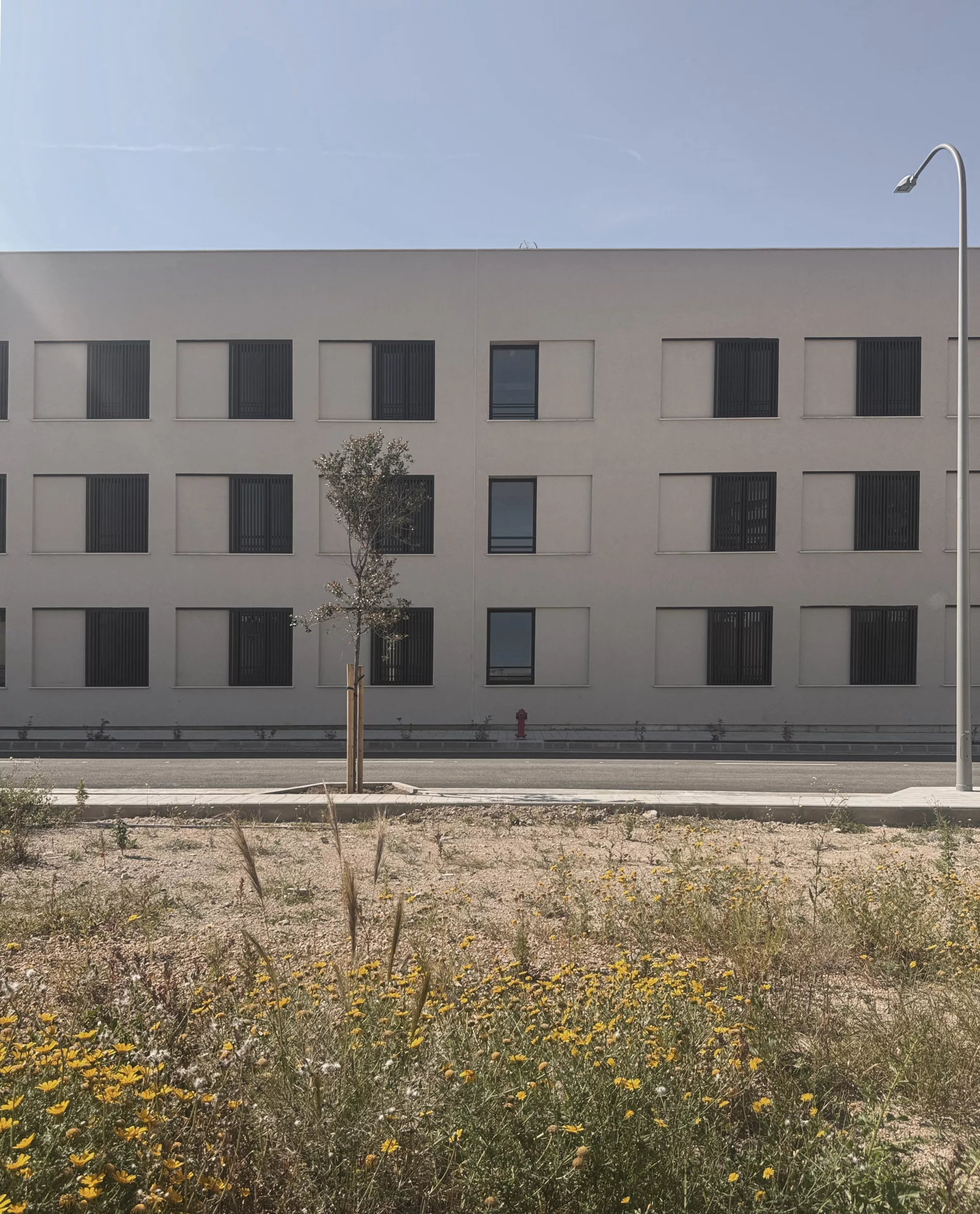 50 viviendas en Tomas Rullan AB2 ARQUITECTURA