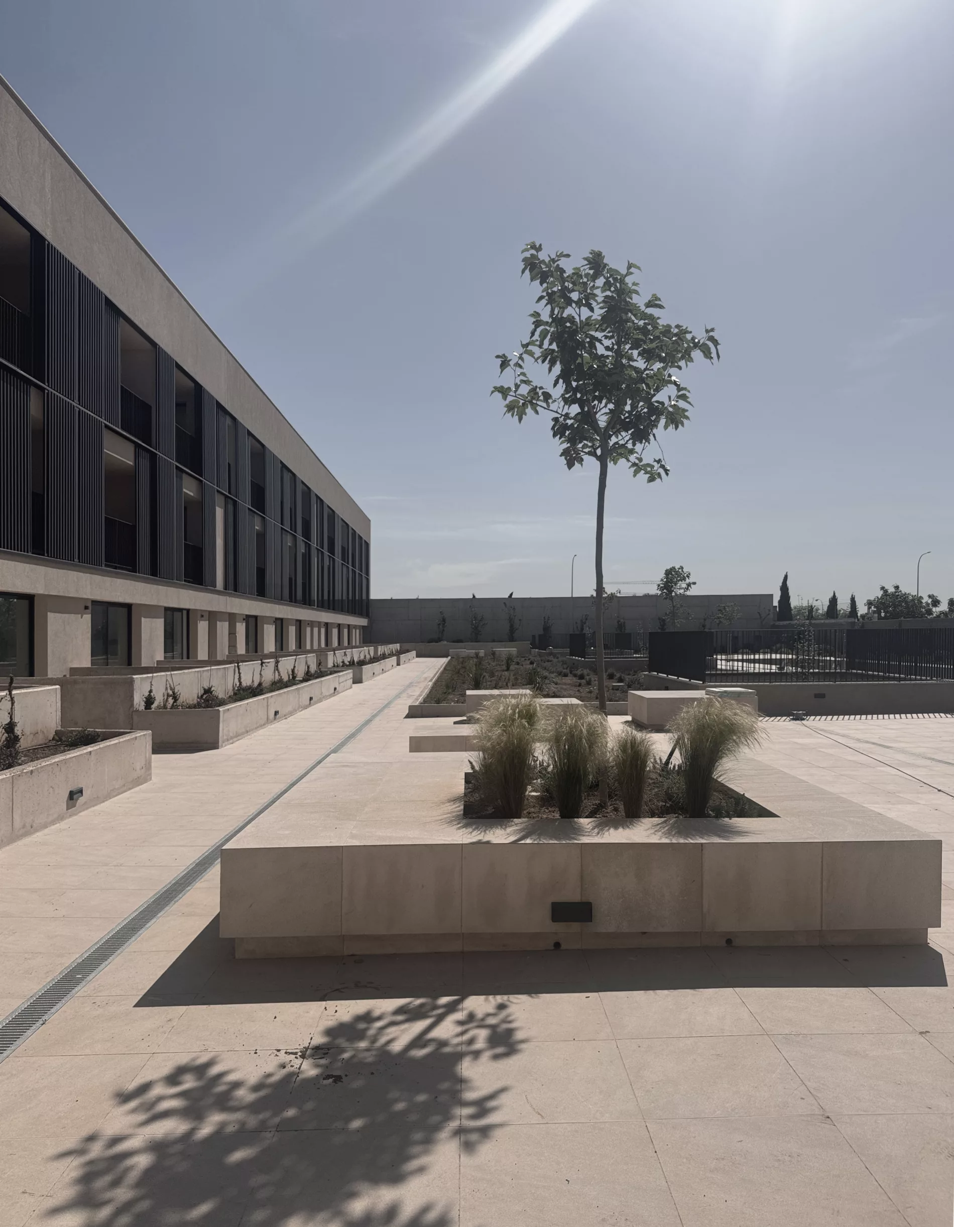 AB2 ARQUITECTURA. 50 VIVIENDAS EN TOMAS RULLAN