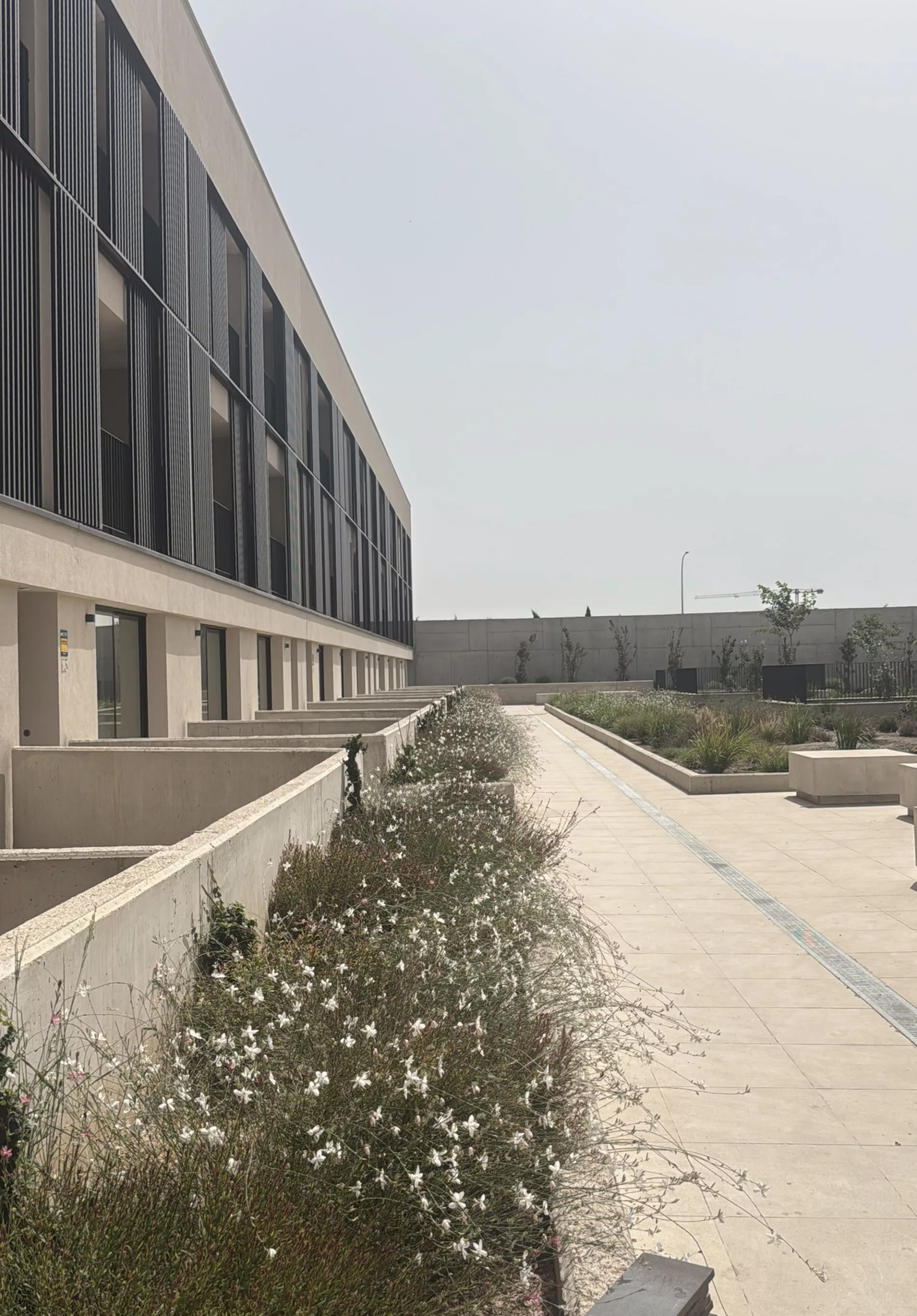 AB2 ARQUITECTURA. 50 VIVIENDAS EN TOMAS RULLAN