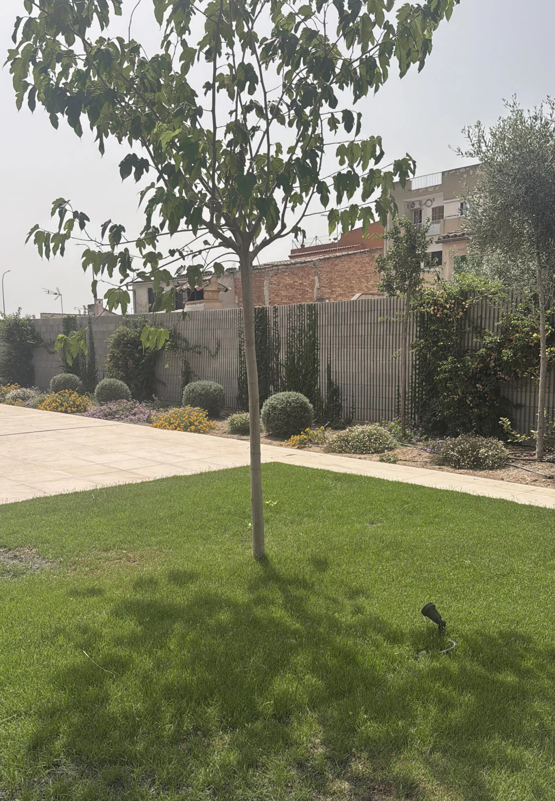 AB2 ARQUITECTURA. 50 VIVIENDAS EN TOMAS RULLAN